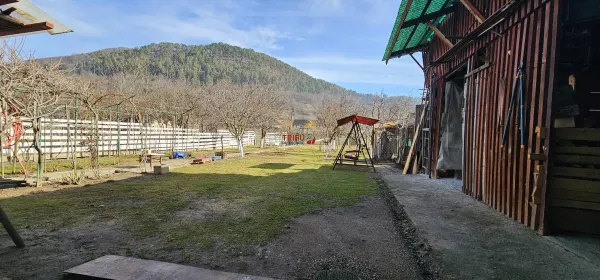 Casă 7 camere Pianu de Sus - poza 17