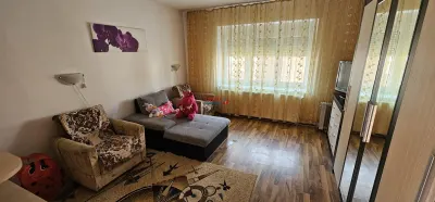 Casă 7 camere Pianu de Sus - poza 4