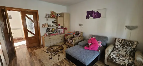 Casă 7 camere Pianu de Sus - poza 5