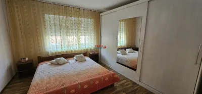 Casă 7 camere Pianu de Sus - poza 6