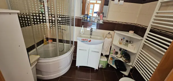 Casă 7 camere Pianu de Sus - poza 8