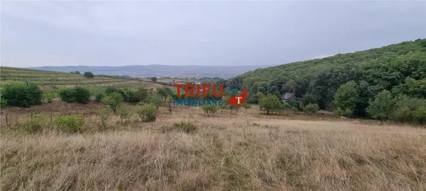 Teren Alba Iulia - poza 1