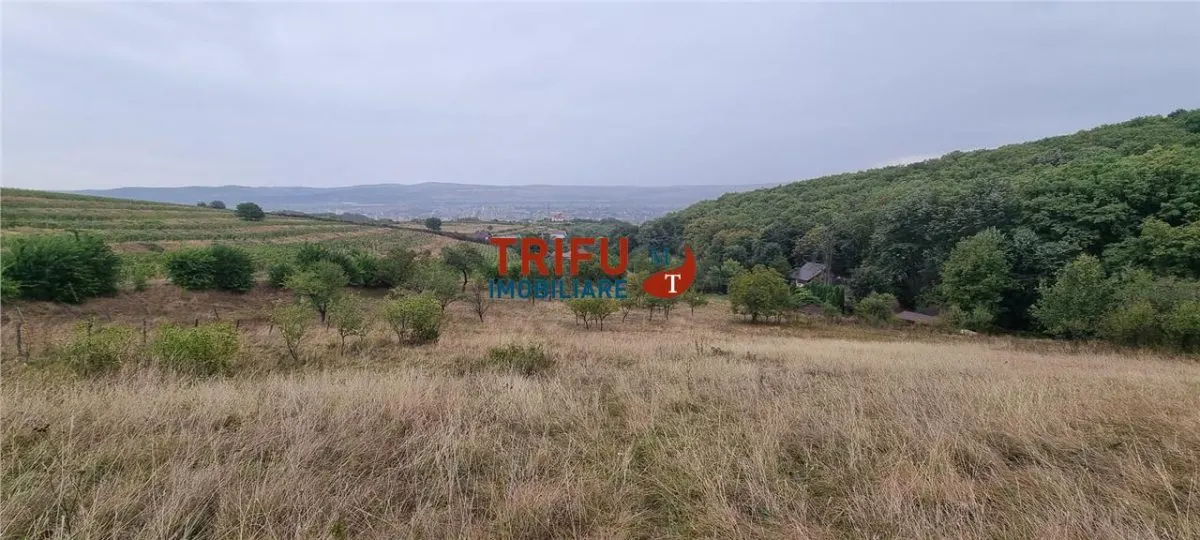 Teren Alba Iulia - poza 1