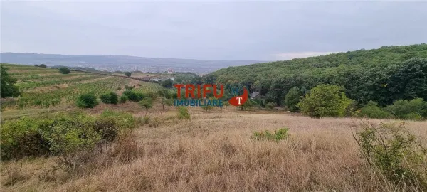 Teren Alba Iulia - poza 3