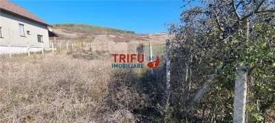 Teren Ciugud - poza 2