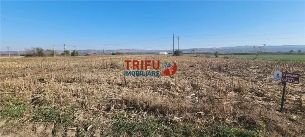 Teren Alba Iulia - poza 1