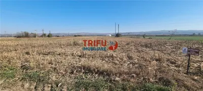 Teren Alba Iulia - poza 1