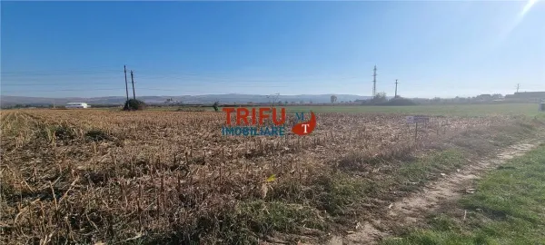 Teren Alba Iulia - poza 2