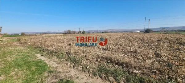 Teren Alba Iulia - poza 3