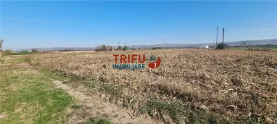 Teren Alba Iulia - poza 3