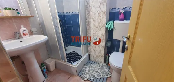 Spațiu comercial Alba Iulia - poza 4