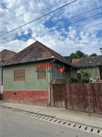 Casă 3 camere Cricău - poza 1