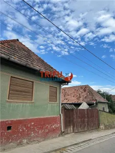 Casă 3 camere Cricău - poza 2