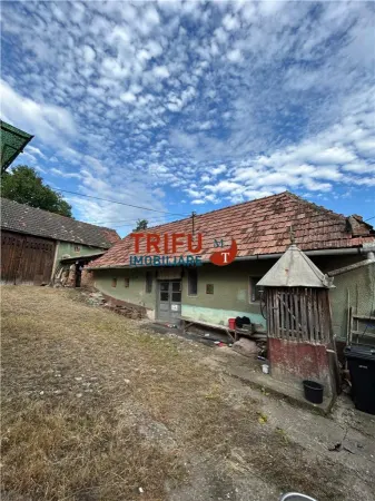 Casă 3 camere Cricău - poza 3