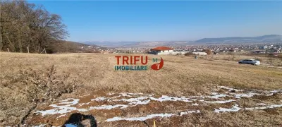 Teren Alba Iulia - poza 3