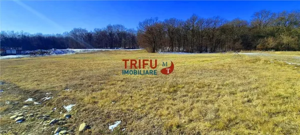 Teren Alba Iulia - poza 3