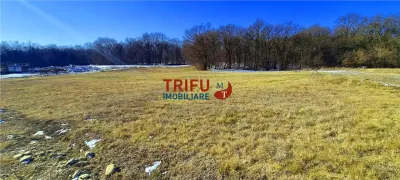 Teren Alba Iulia - poza 3
