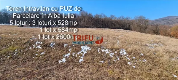 Teren Alba Iulia - poza 1