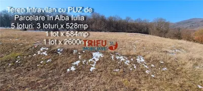 Teren Alba Iulia - poza 1