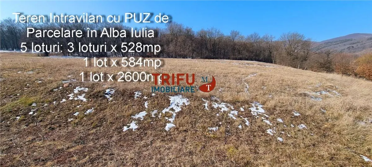 Teren Alba Iulia - poza 1