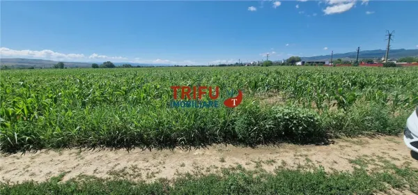 Teren Alba Iulia - poza 1