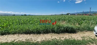 Teren Alba Iulia - poza 1