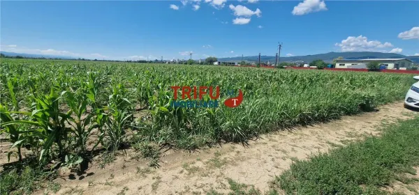 Teren Alba Iulia - poza 2