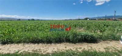 Teren Alba Iulia - poza 3