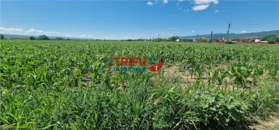 Teren Alba Iulia - poza 5