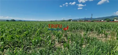 Teren Alba Iulia - poza 7