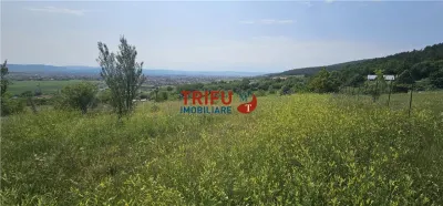 Teren Alba Iulia - poza 1