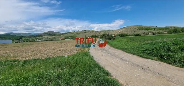 Teren Șard - poza 1