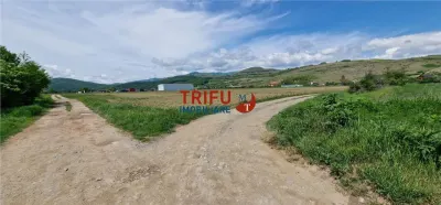 Teren Șard - poza 2