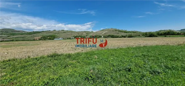 Teren Șard - poza 3