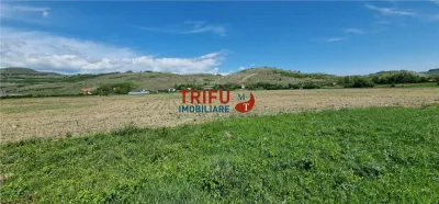 Teren Șard - poza 3