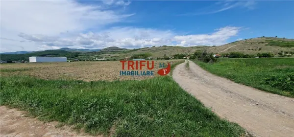 Teren Șard - poza 4