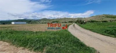 Teren Șard - poza 4