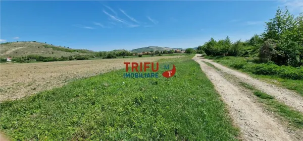 Teren Șard - poza 5