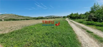 Teren Șard - poza 5
