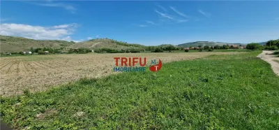 Teren Șard - poza 6
