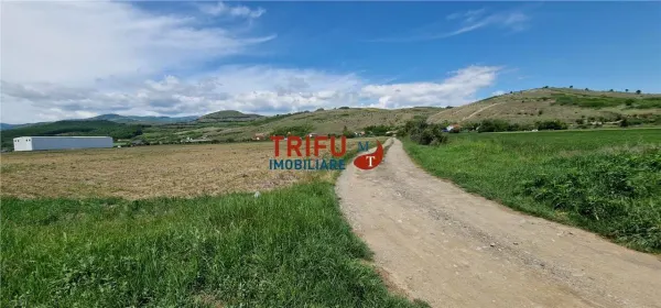 Teren Șard - poza 7