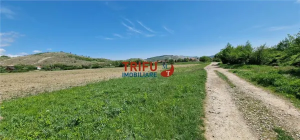Teren Șard - poza 8