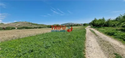Teren Șard - poza 8