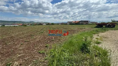 Teren Alba Iulia - poza 1
