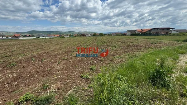 Teren Alba Iulia - poza 3