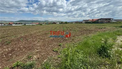 Teren Alba Iulia - poza 3