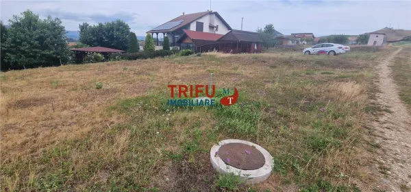 Teren Seusa - poza 2