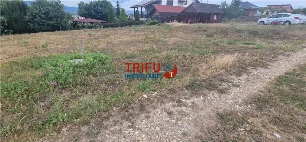 Teren Seusa - poza 3