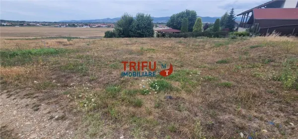 Teren Seusa - poza 4