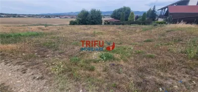 Teren Seusa - poza 4